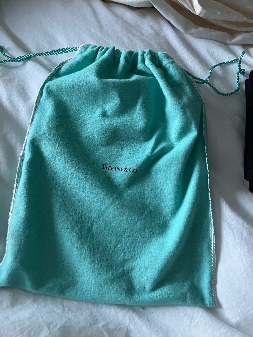 Tiffany & Co. Signature Turquoise Drawstring Travel Bag